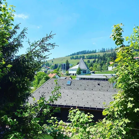 Haus Am Sonnenberg,todtnauberg, 002, Direkt Am Skilift-skipiste, Naehe Feldberg * Todtnauberg