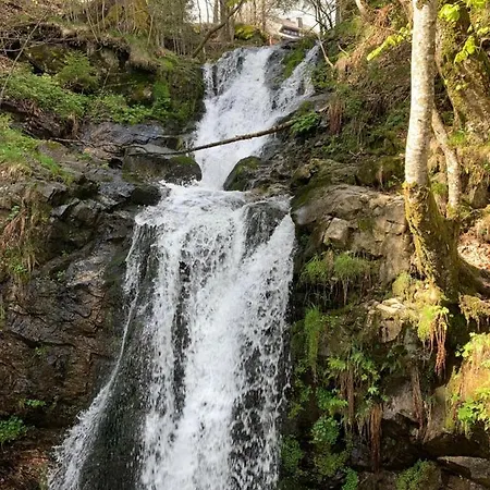 Haus Am Sonnenberg,todtnauberg, 002, Direkt Am Skilift-skipiste, Naehe Feldberg