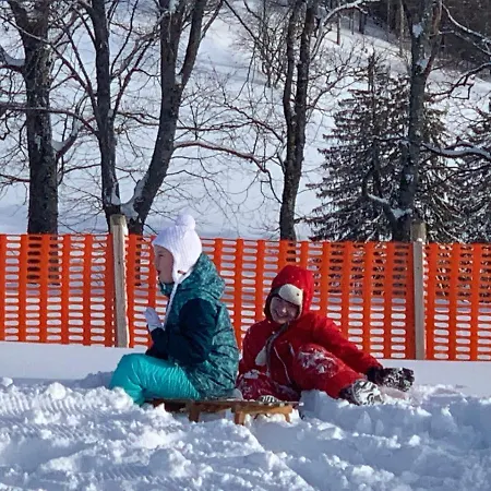 公寓 Haus Am Sonnenberg,todtnauberg, 002, Direkt Am Skilift-skipiste, Naehe Feldberg