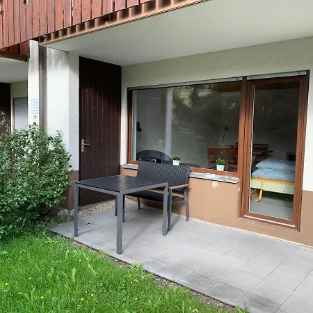 Appartement Haus Am Sonnenberg,todtnauberg, 002, Direkt Am Skilift-skipiste, Naehe Feldberg *