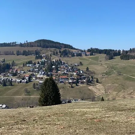 Haus Am Sonnenberg,todtnauberg, 002, Direkt Am Skilift-skipiste, Naehe Feldberg Apartment Todtnauberg
