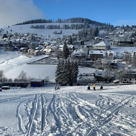 Apartment Haus Am Sonnenberg,todtnauberg, 002, Direkt Am Skilift-skipiste, Naehe Feldberg *