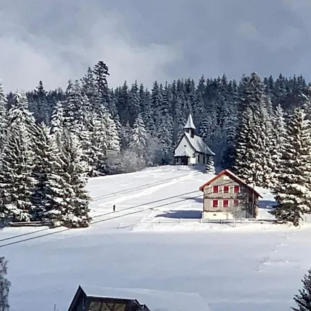 Apartment Haus Am Sonnenberg,todtnauberg, 002, Direkt Am Skilift-skipiste, Naehe Feldberg