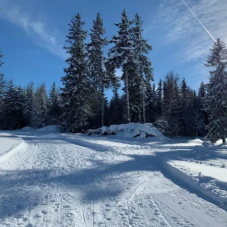 Haus Am Sonnenberg,todtnauberg, 002, Direkt Am Skilift-skipiste, Naehe Feldberg Appartement