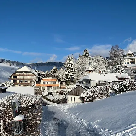 Haus Am Sonnenberg,todtnauberg, 002, Direkt Am Skilift-skipiste, Naehe Feldberg Todtnauberg